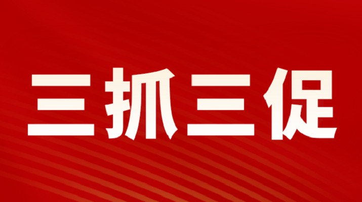 三抓三促进行时丨九州官方网站(中国)有限责任公司官网集团召开重点项目调度会